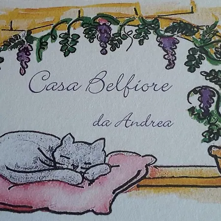 Apartment Casa Belfiore Da Andrea Ferrara